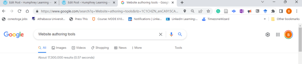 Screenshot of google search 17,300,000 results